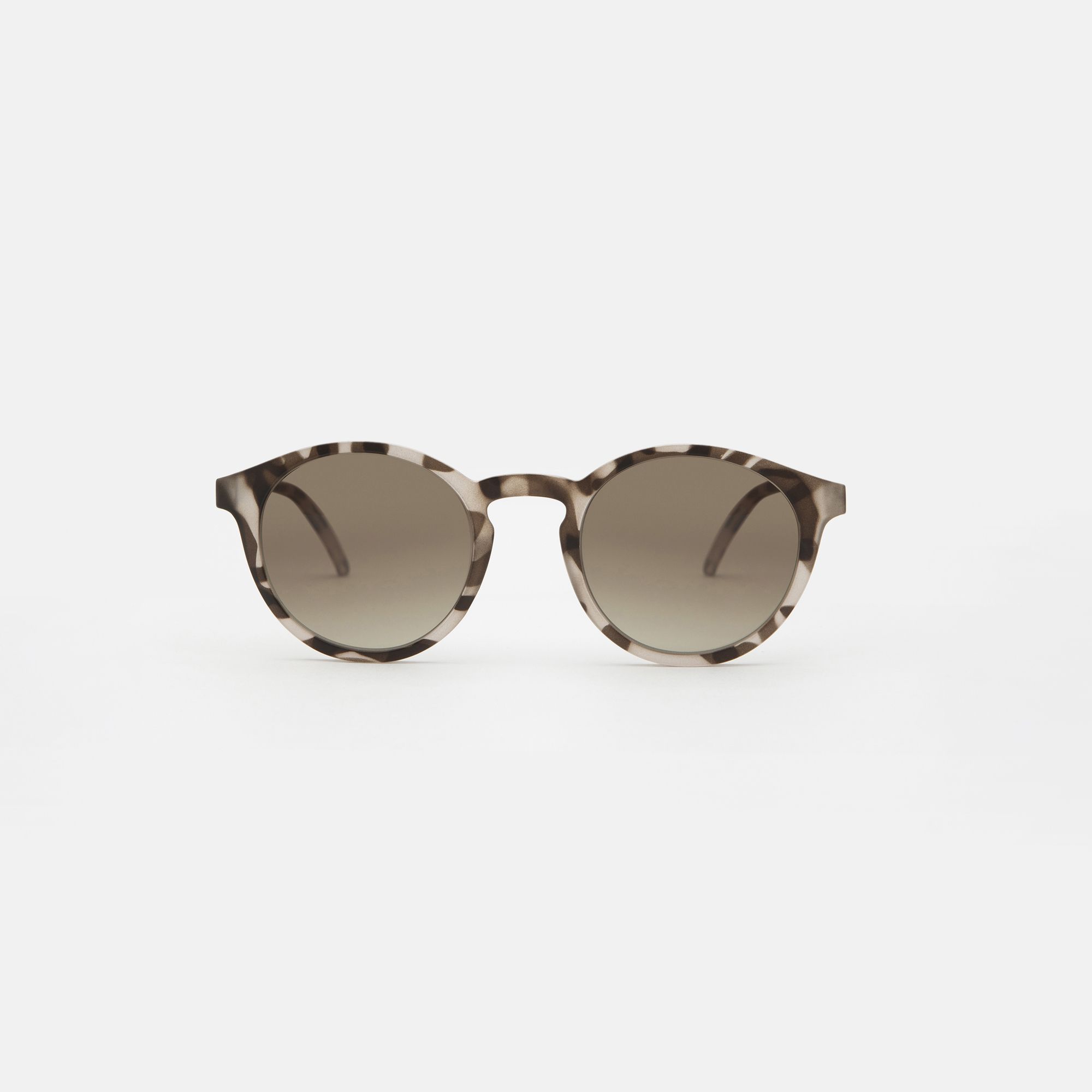 Medium Light tortoise