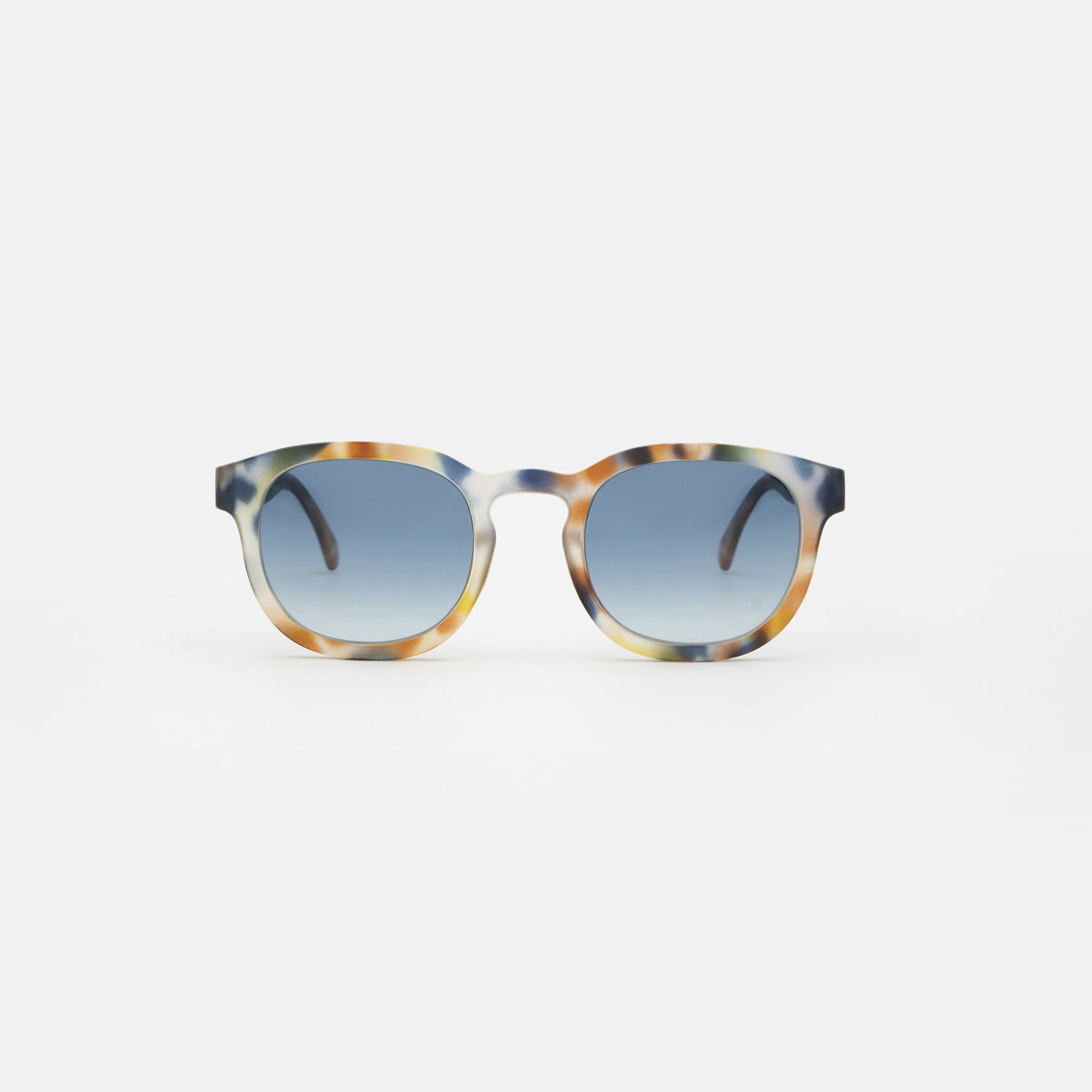 Medium Blue tortoise
