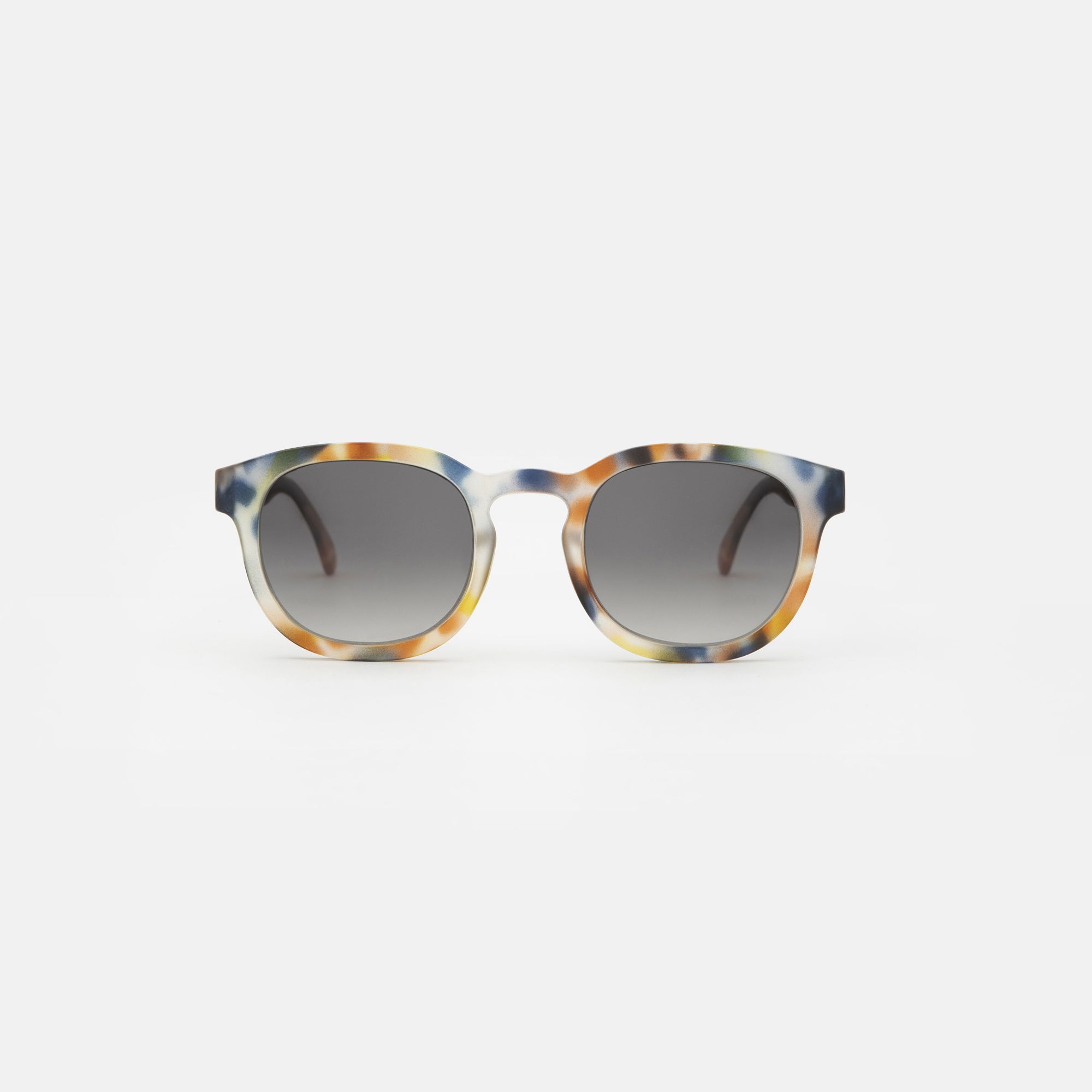 Medium Blue tortoise