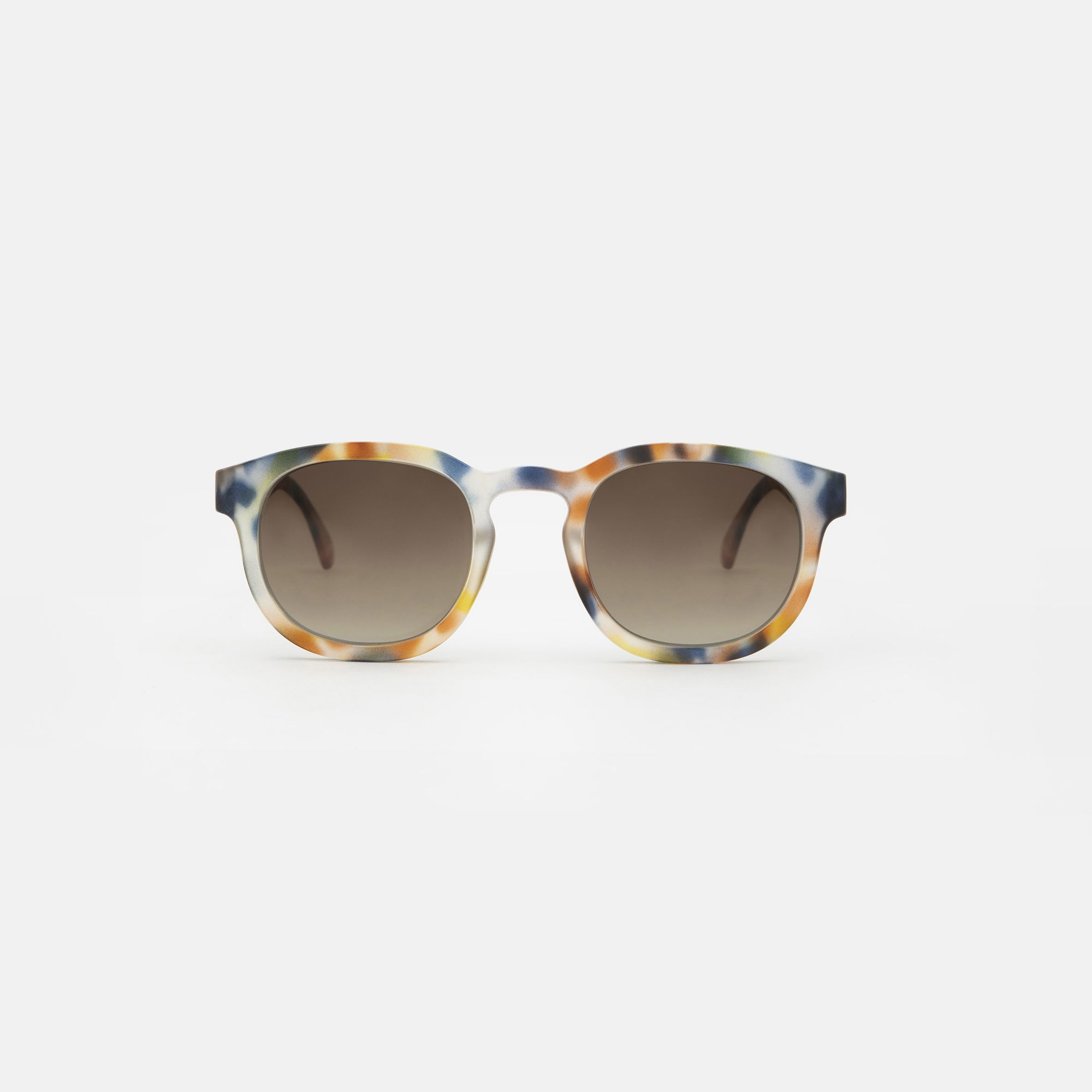 Medium Blue tortoise