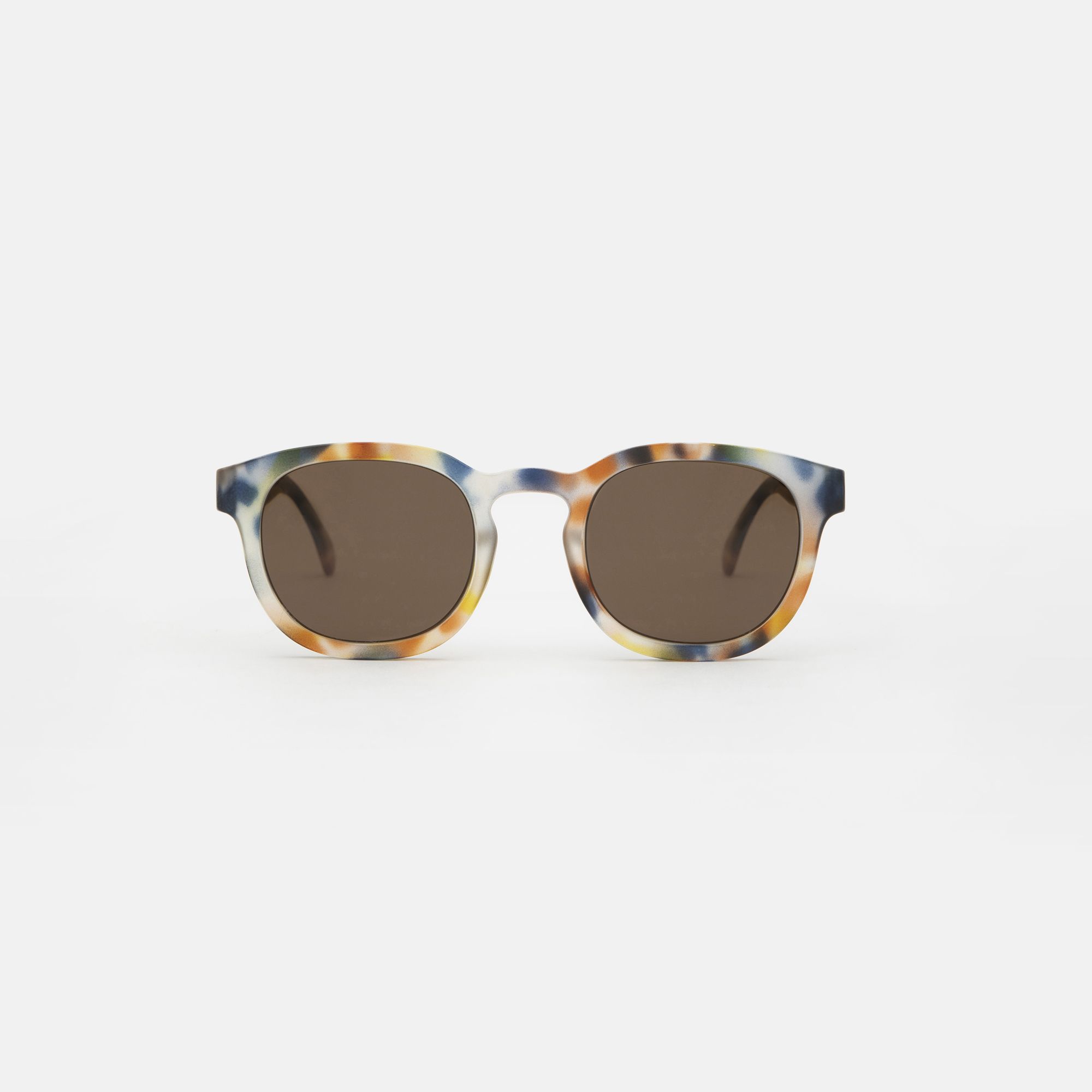 Medium Blue tortoise