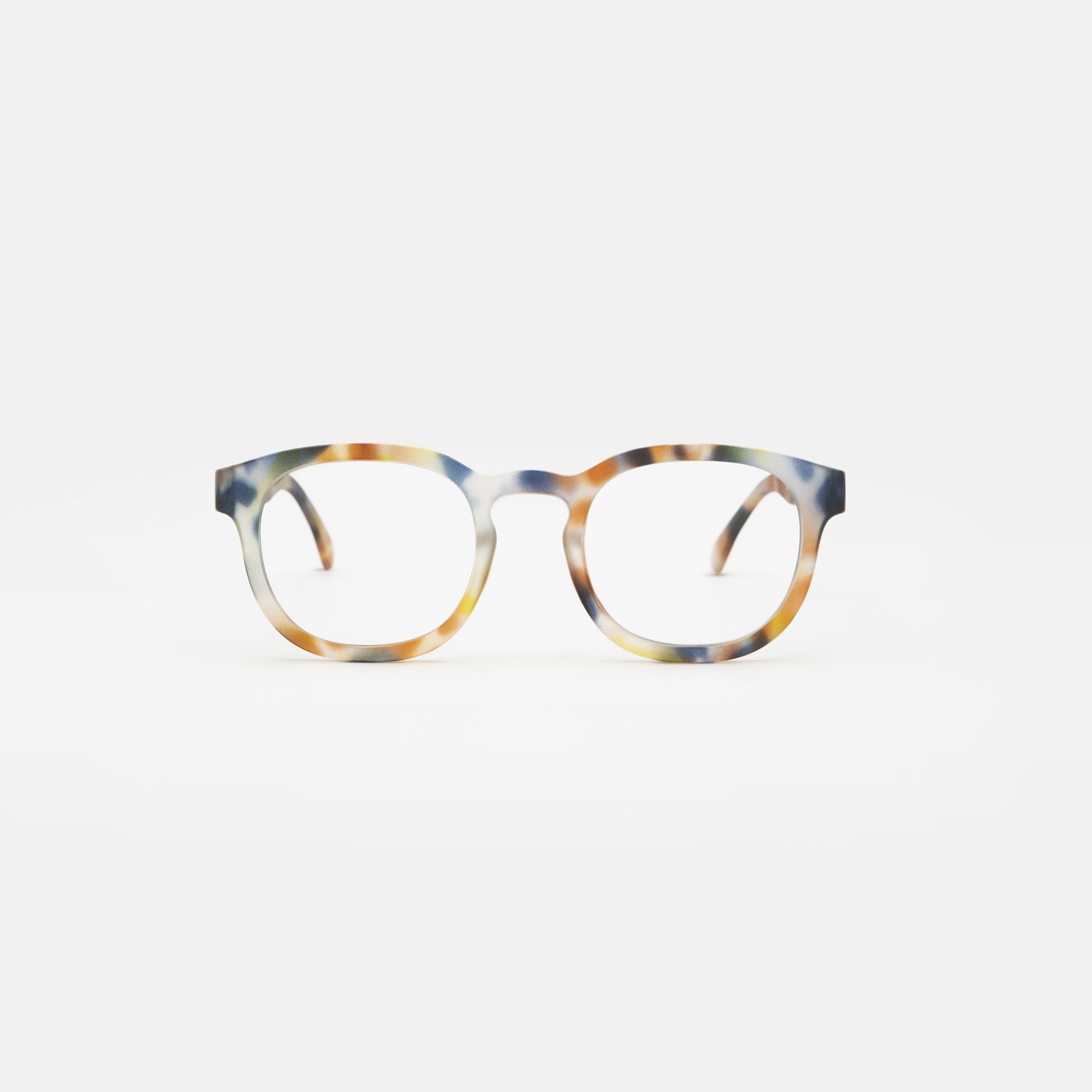 Medium Blue tortoise