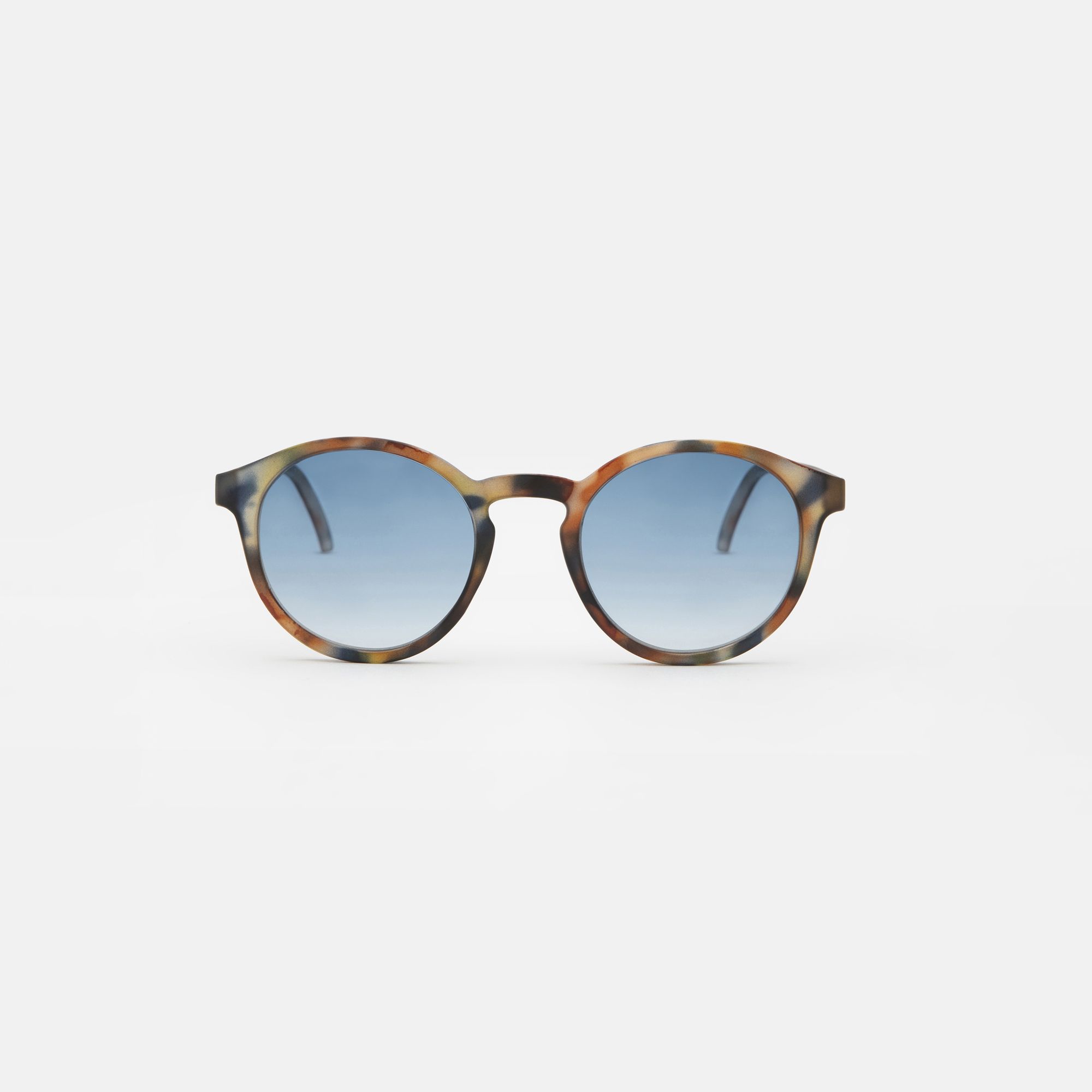 Medium Blue tortoise