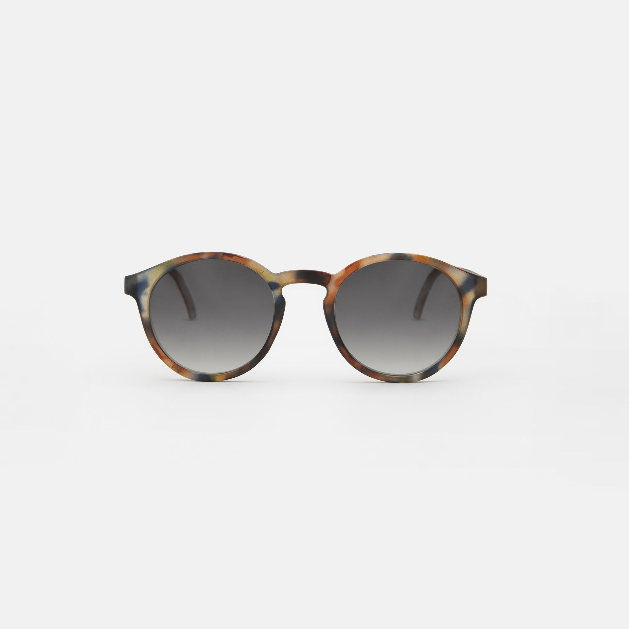 Medium Blue tortoise
