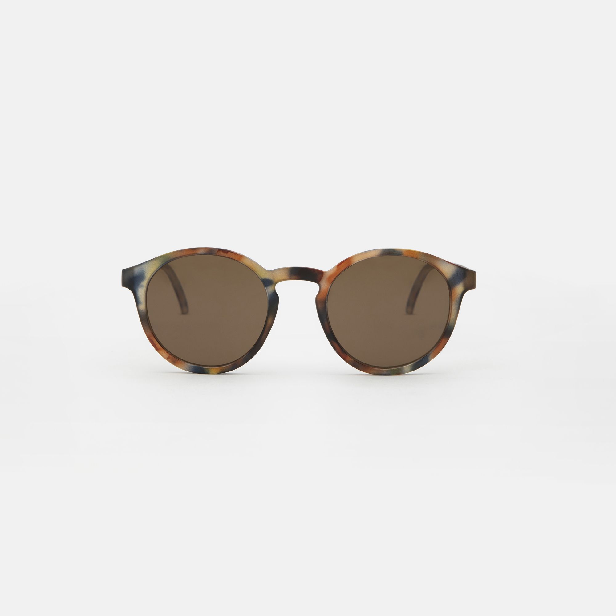 Medium Blue tortoise