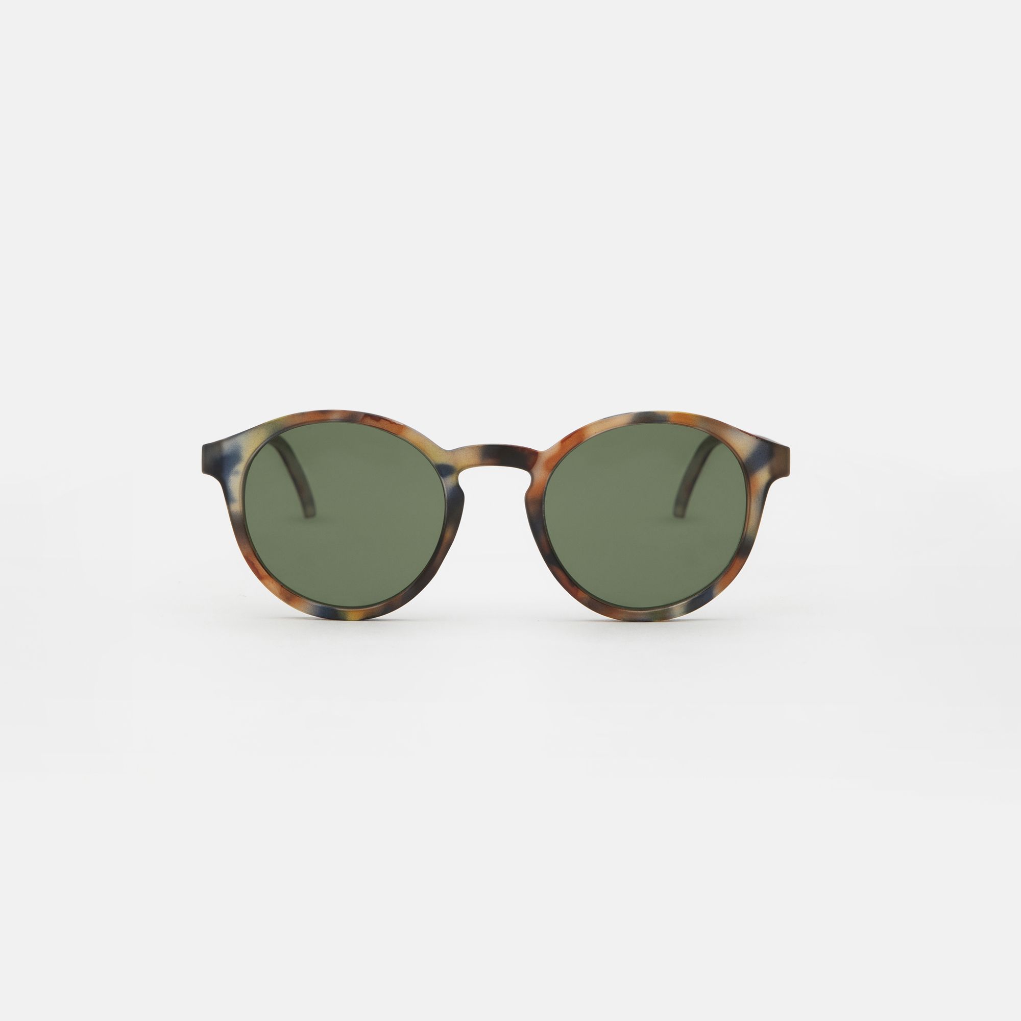 Medium Blue tortoise